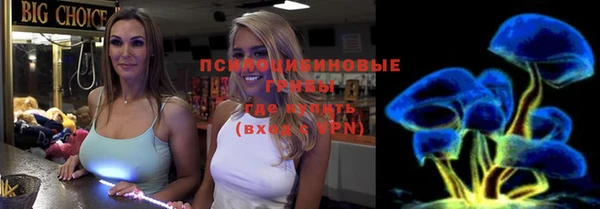 дмт Гусиноозёрск