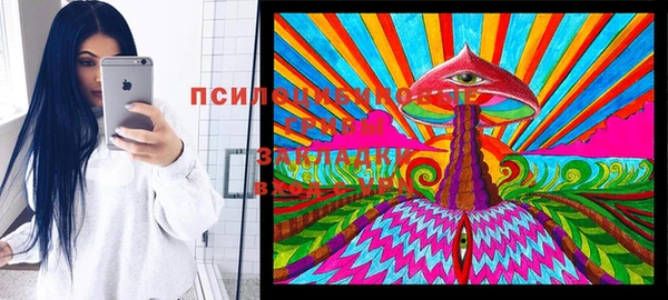 кокс Гусь-Хрустальный