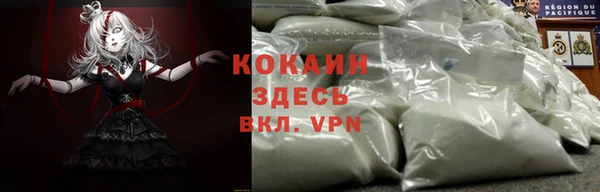 кокс Гусь-Хрустальный