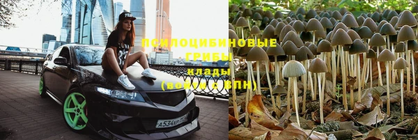 кокс Гусь-Хрустальный