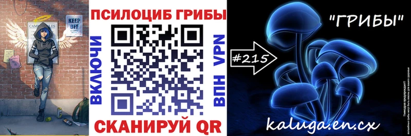 Купить закладки  Макушино  Псилоцибиновые грибы Cubensis 